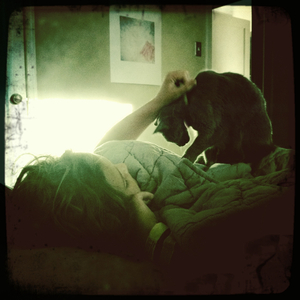 Hip 335195089.204288