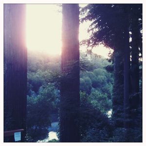 Hip 335195082.485246