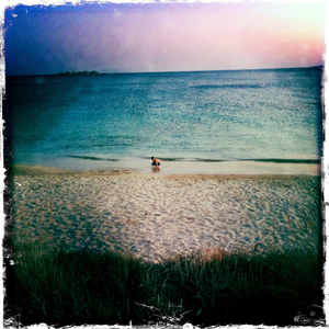 Hip 332531687.113833