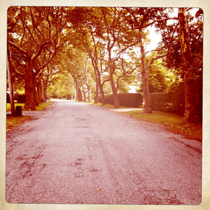 Hip 335196300.390258