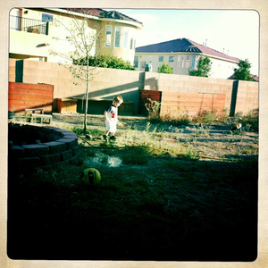 Hip 335148150.137597