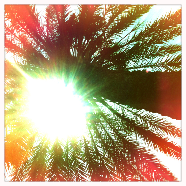 Hip 335175214.991925