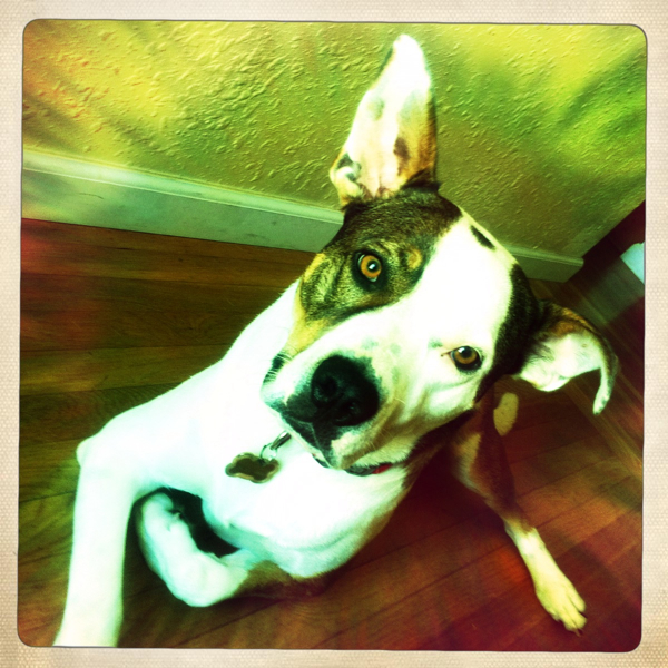 Hip 334445760.558103