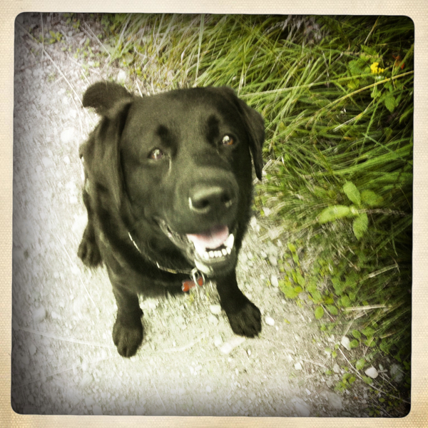 Hip 335196405.319403