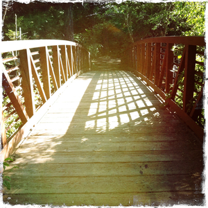 Hip 332641355.797548