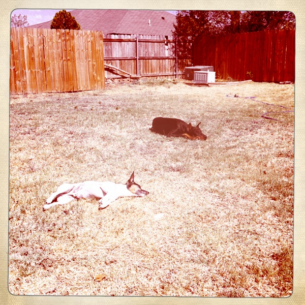 Hip 333560547.092082