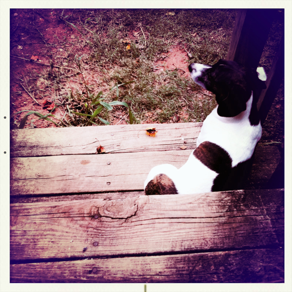 Hip 331771789.412299