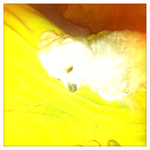 Hip 335202640.558379