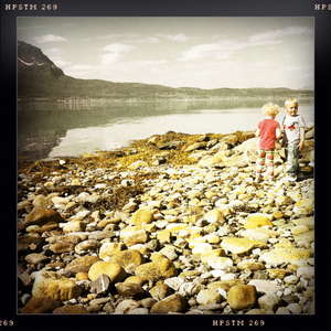 Hip 331897068.208642