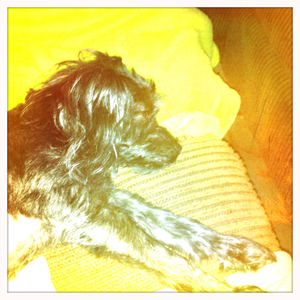 Hip 335202627.619326