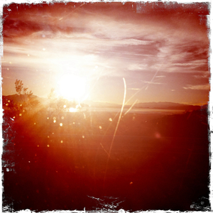 Hip 315155866.502853