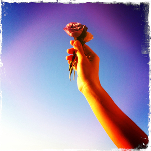 Hip 335204144.707952