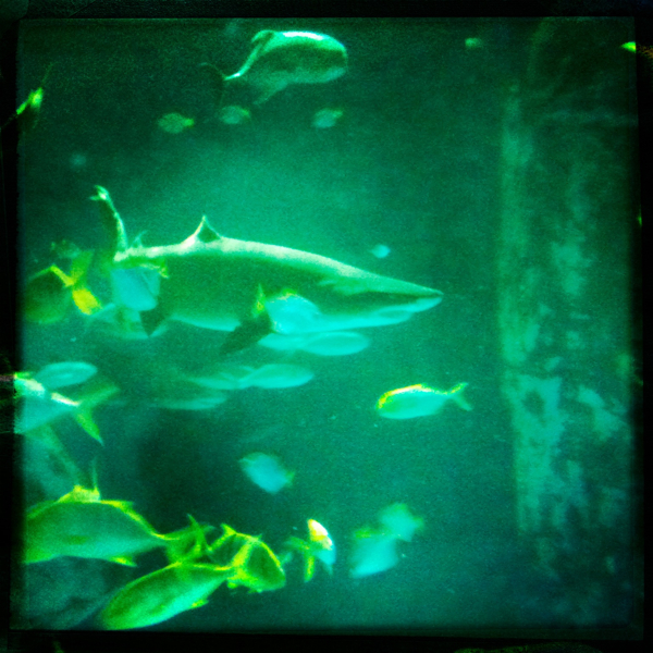 Hip 335199000.289657