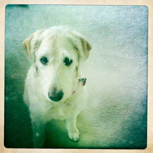 Hip 335113145.754504