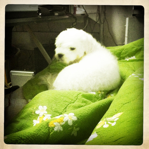 Hip 331636552.850558