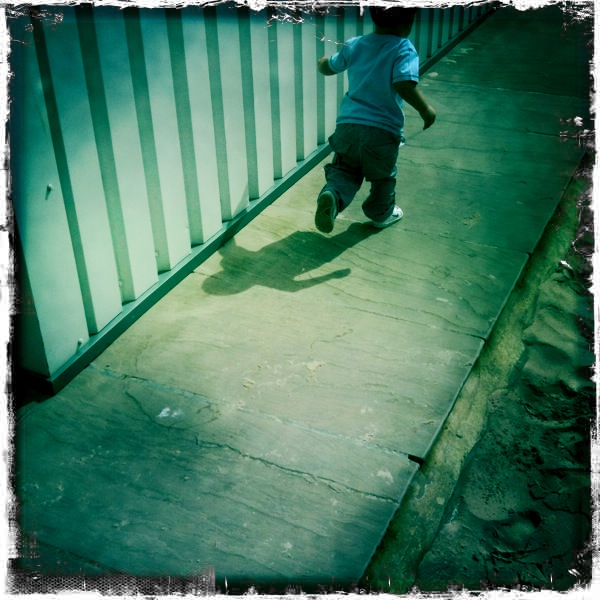 Hip 335194207.205903