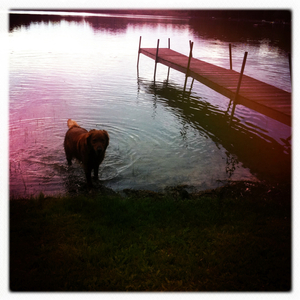 Hip 328398507.706757