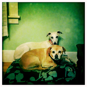 Hip 327983284.255079