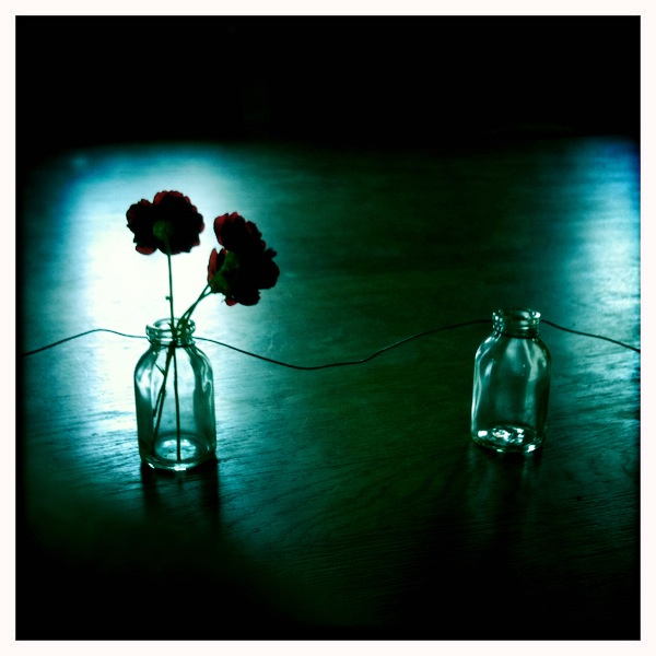 Hip 335131136.617644