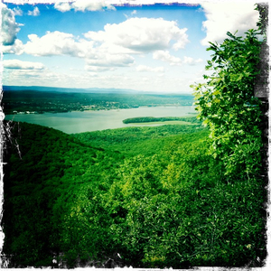 Hip 334782546.054969