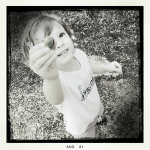 Hip 335197932.219696