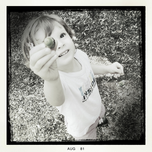 Hip 335197932.219696