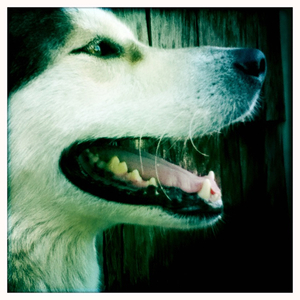 Hip 335207964.328736