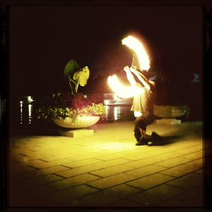 Hip 334460902.076951