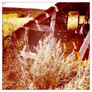 Hip 333829825.372074