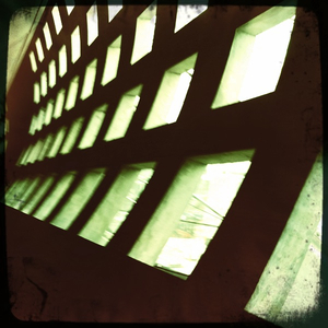 Hip 333356187.804197