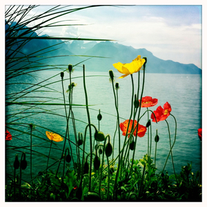 Hip 326554617.013121