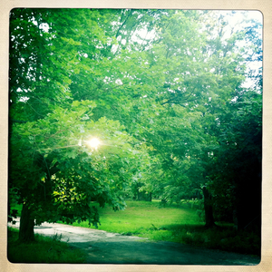 Hip 332291713.636943