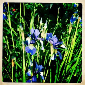 Hip 328816734.110324