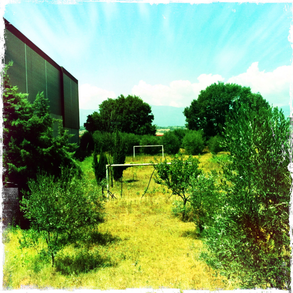 Hip 334321898.436544