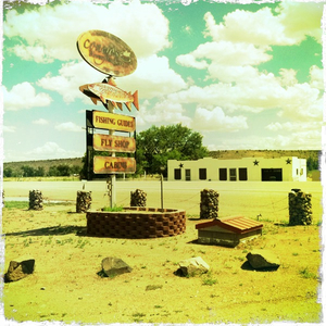 Hip 334355289.113222