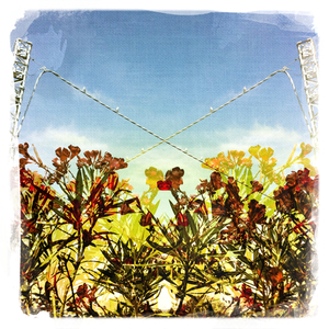 Hip 335092096.984666