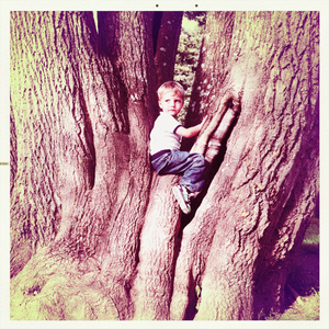 Hip 335200250.087348