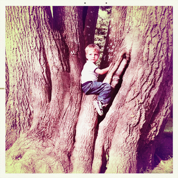 Hip 335200250.087348