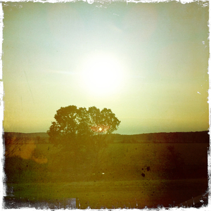 Hip 335191382.727654