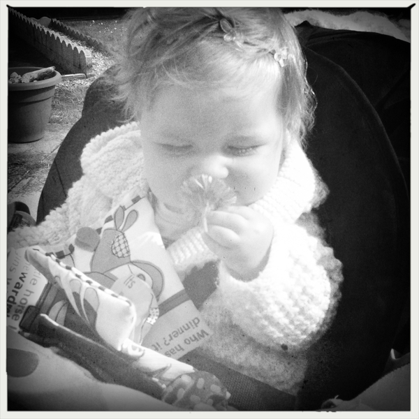 Hip 329845668.353047