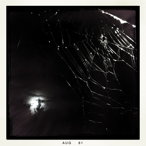 Hip 334912420.319037