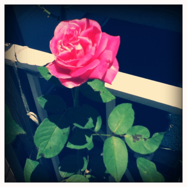 Hip 331057949.873710