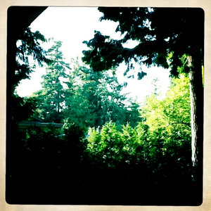 Hip 331866870.831899