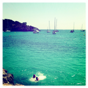 Hip 334146439.409062