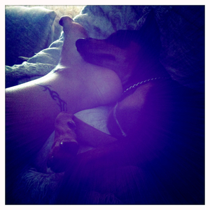 Hip 335215453.371434