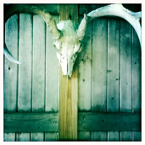 Hip 335219558.243487