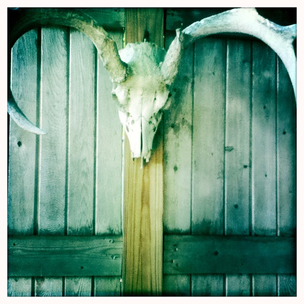 Hip 335219558.243487