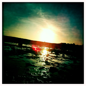 Hip 334608802.958832