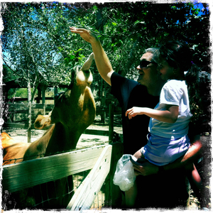 Hip 332799625.032257