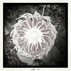 Hip 334853382.929441